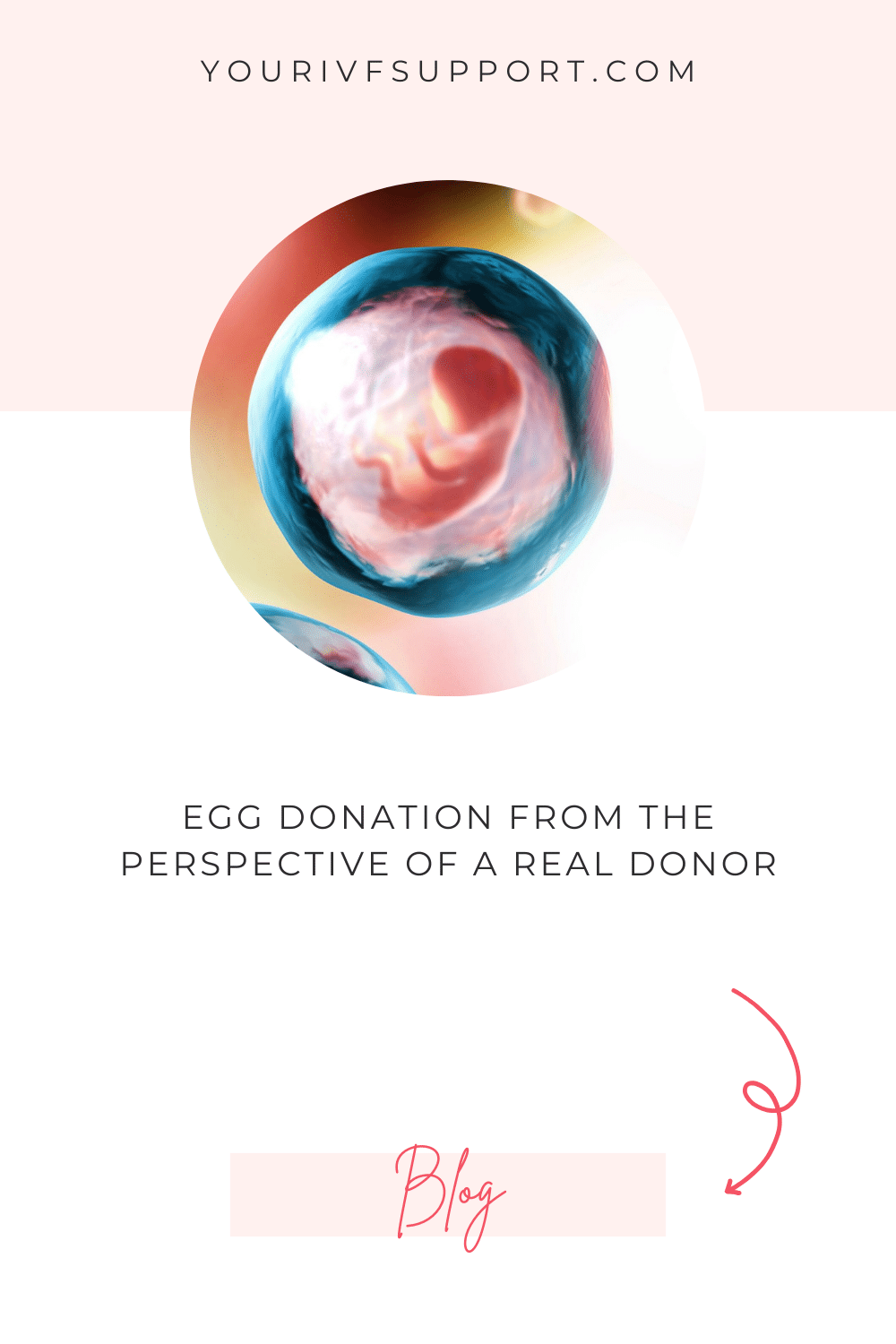 Egg Donation from a donor