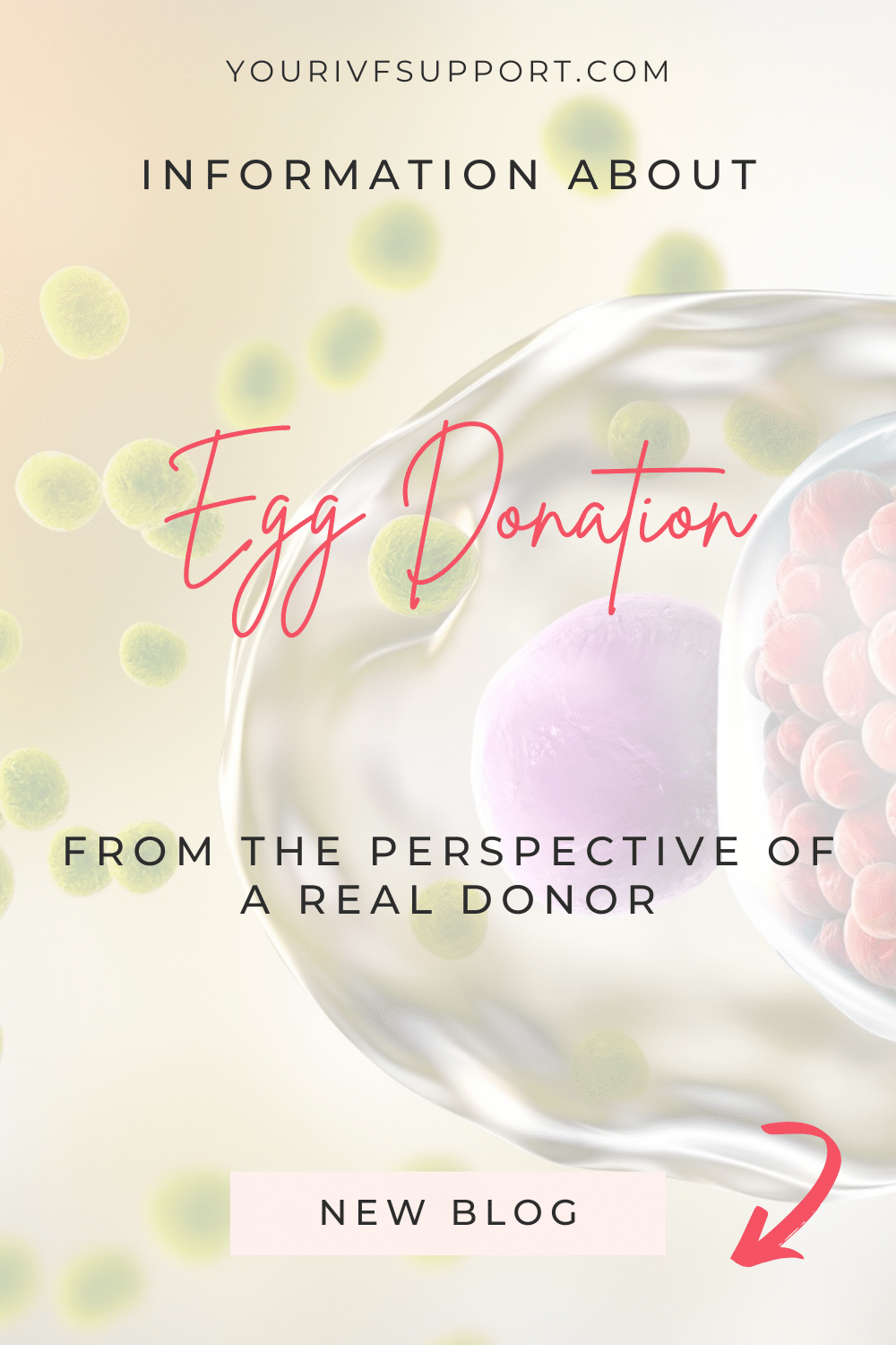 Egg Donation from a donor