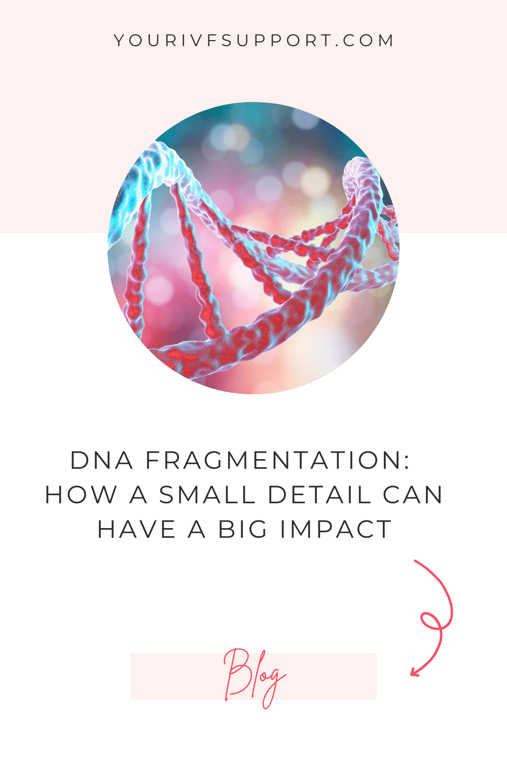 DNA Fragmentation