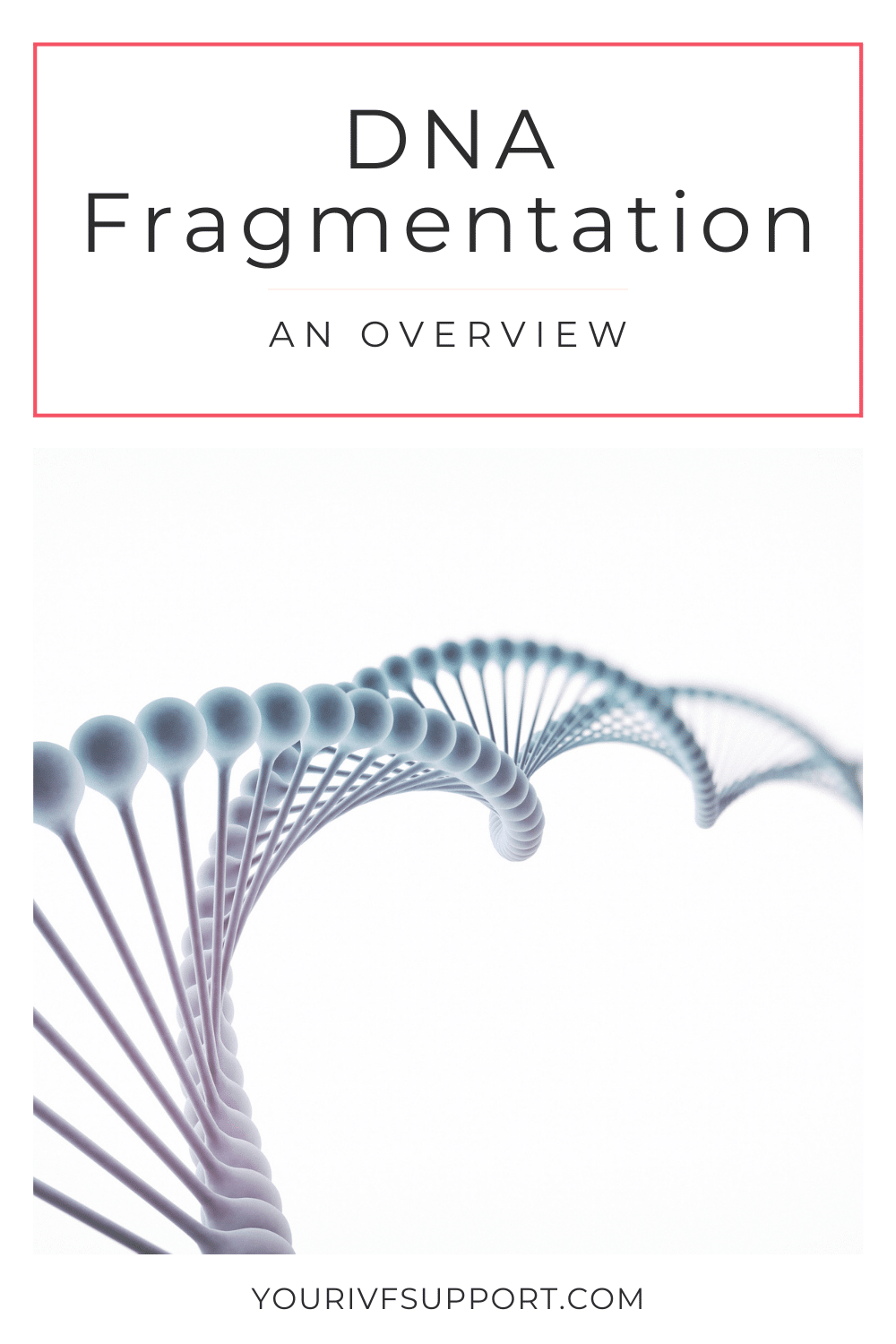 DNA-Fragmentierung