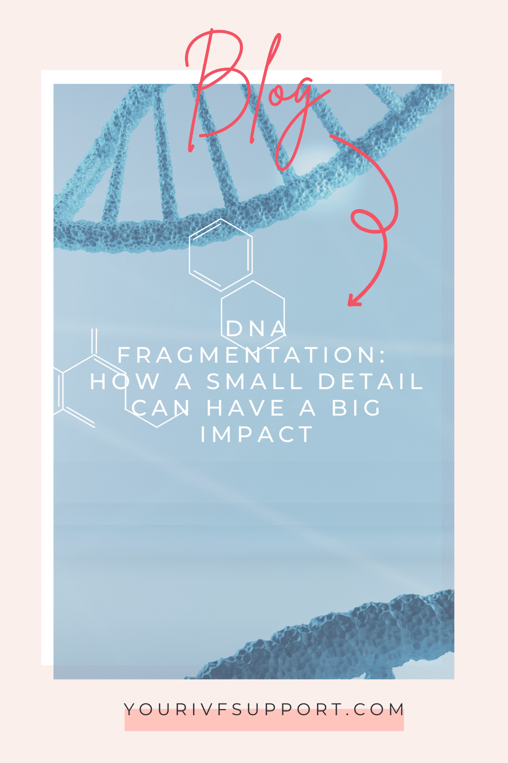 DNA Fragmentation