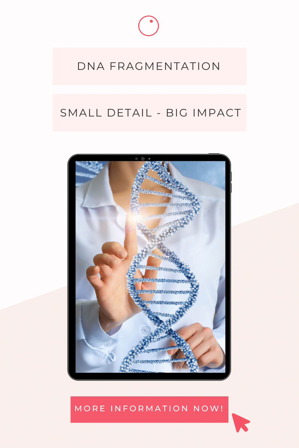 DNA Fragmentation