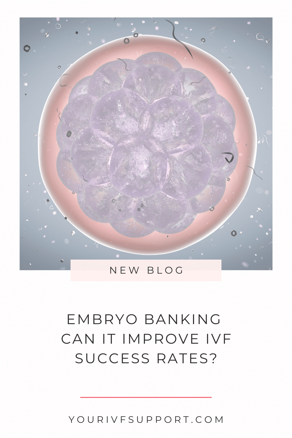 Embryo Banking for IVF Success