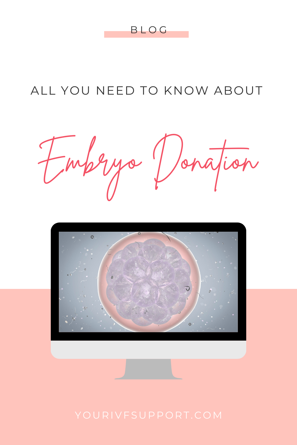 Embryo Donation and Adoption
