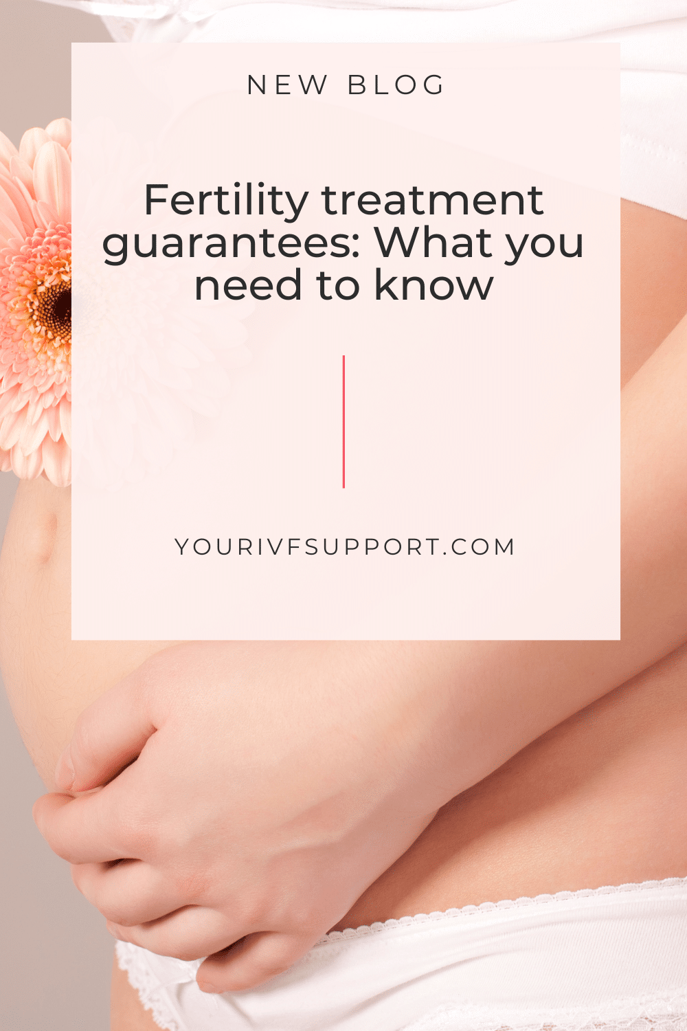 Fertility Treatment Guarantees