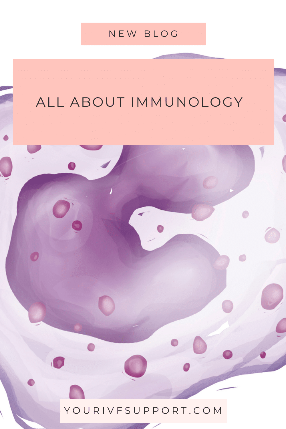 Immunology and Fertility: Understanding the Connection