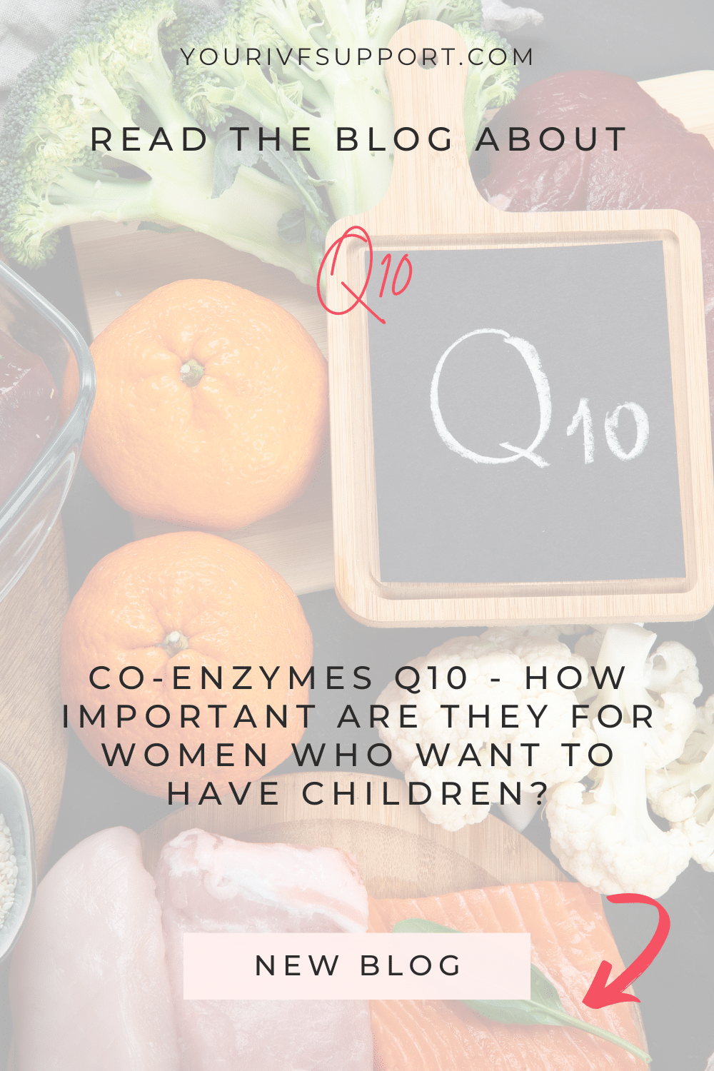 Co-enzymes Q10 and Fertility