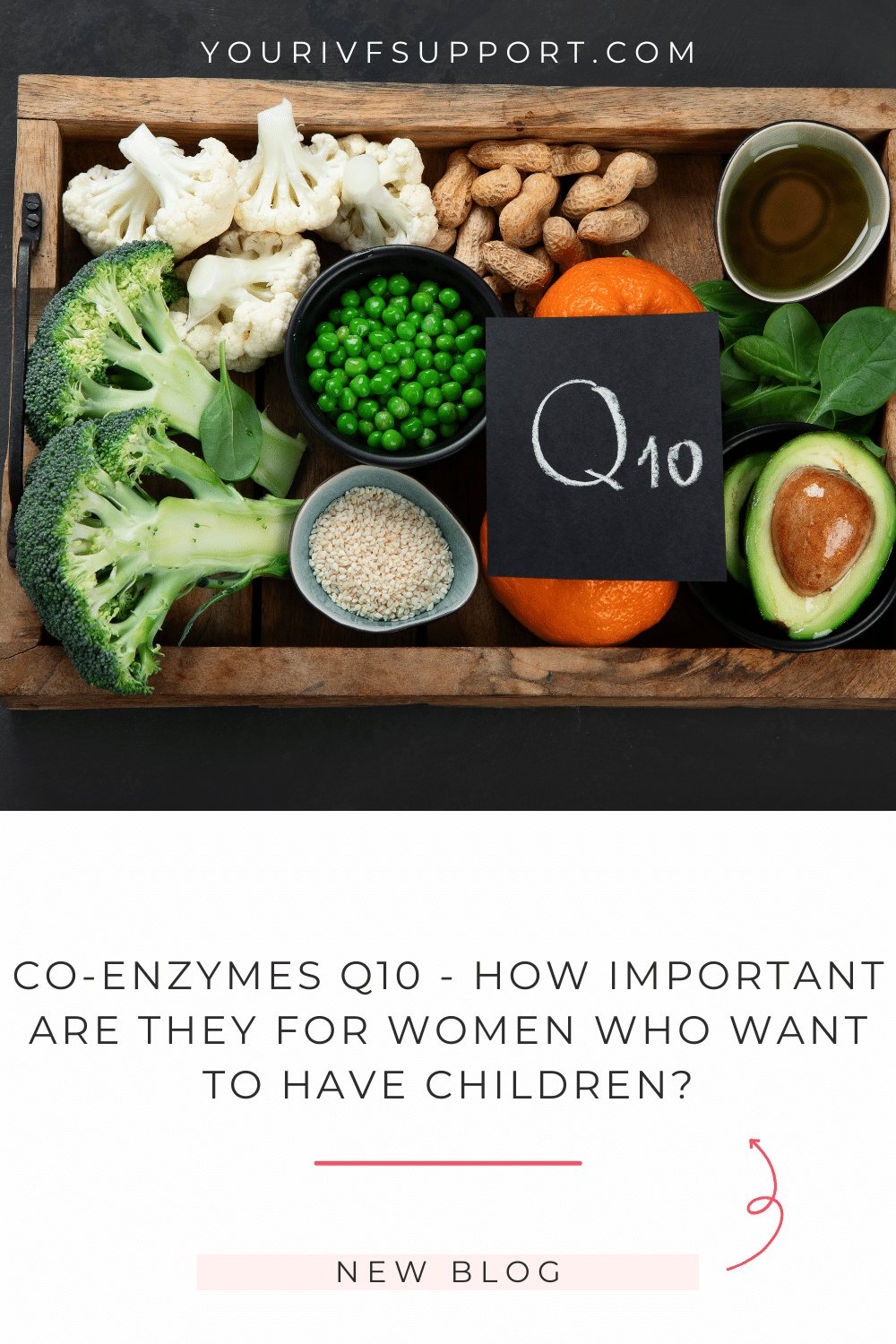 Co-enzymes Q10 and Fertility
