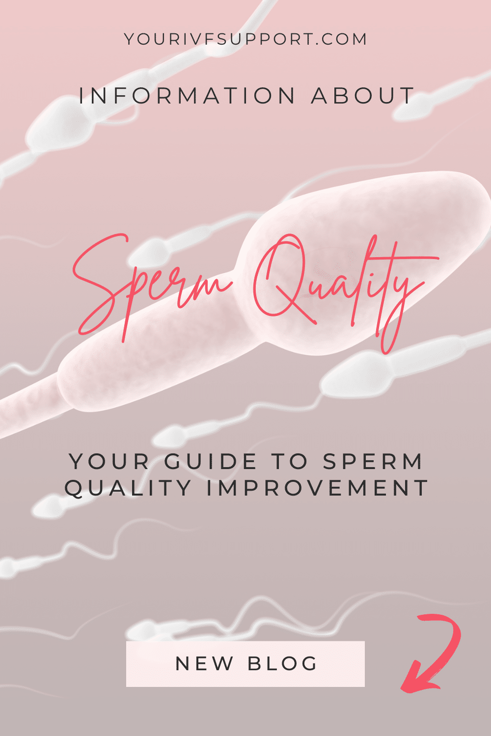 Verbesserung der Spermienqualität: Natürliche Heilmittel zur Technik Anleitung