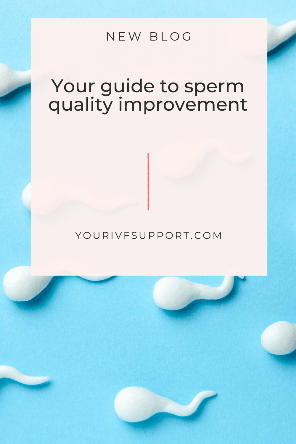 Verbesserung der Spermienqualität: Natürliche Heilmittel zur Technik Anleitung