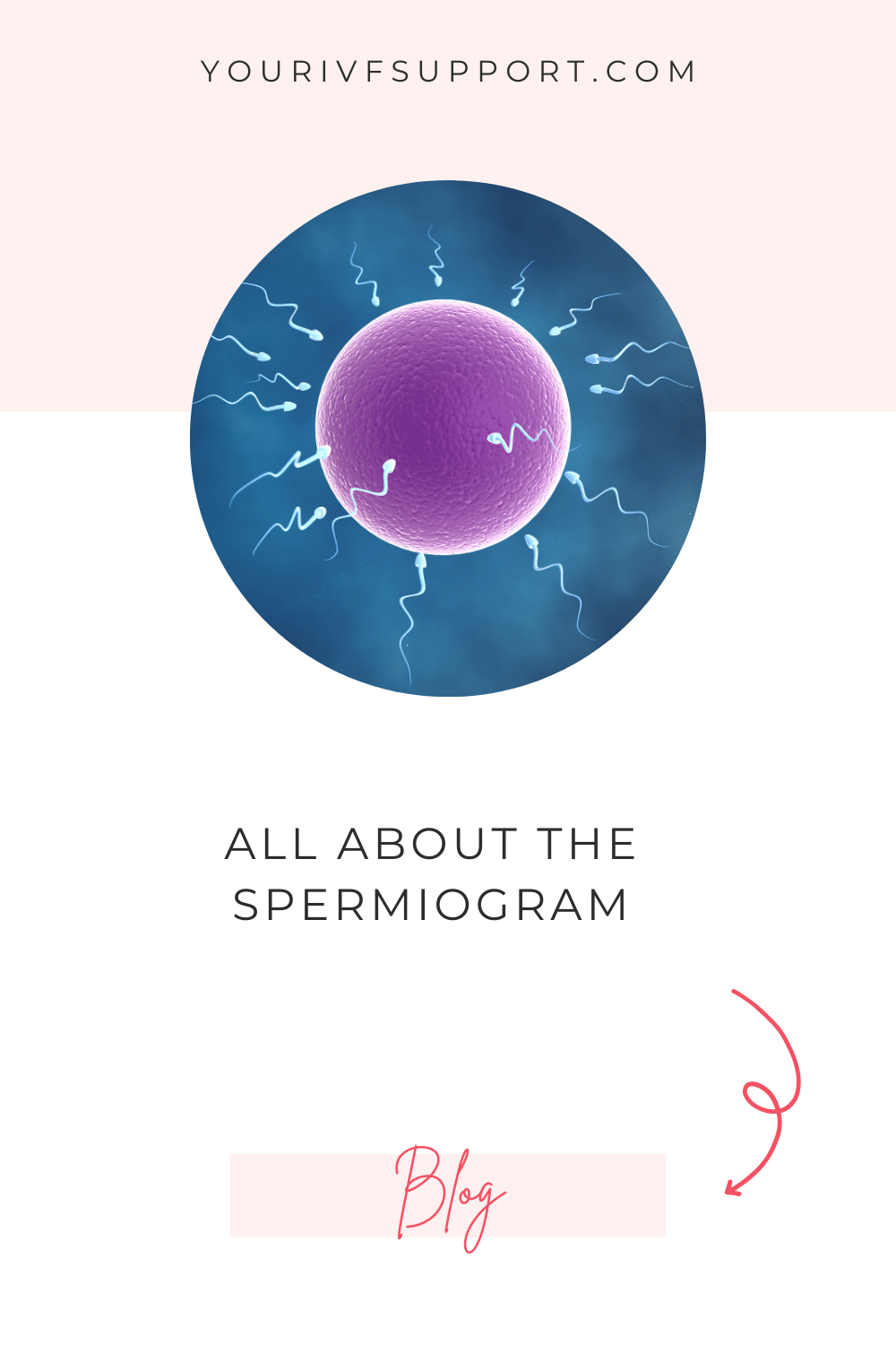 Das Spermiogramm verstehen: Ein Schlüssel zu Fruchtbarkeit und Empfängnis