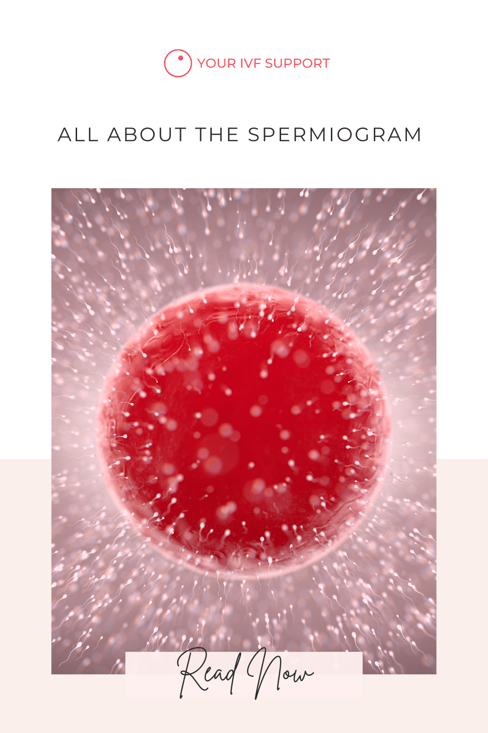 Das Spermiogramm verstehen: Ein Schlüssel zu Fruchtbarkeit und Empfängnis
