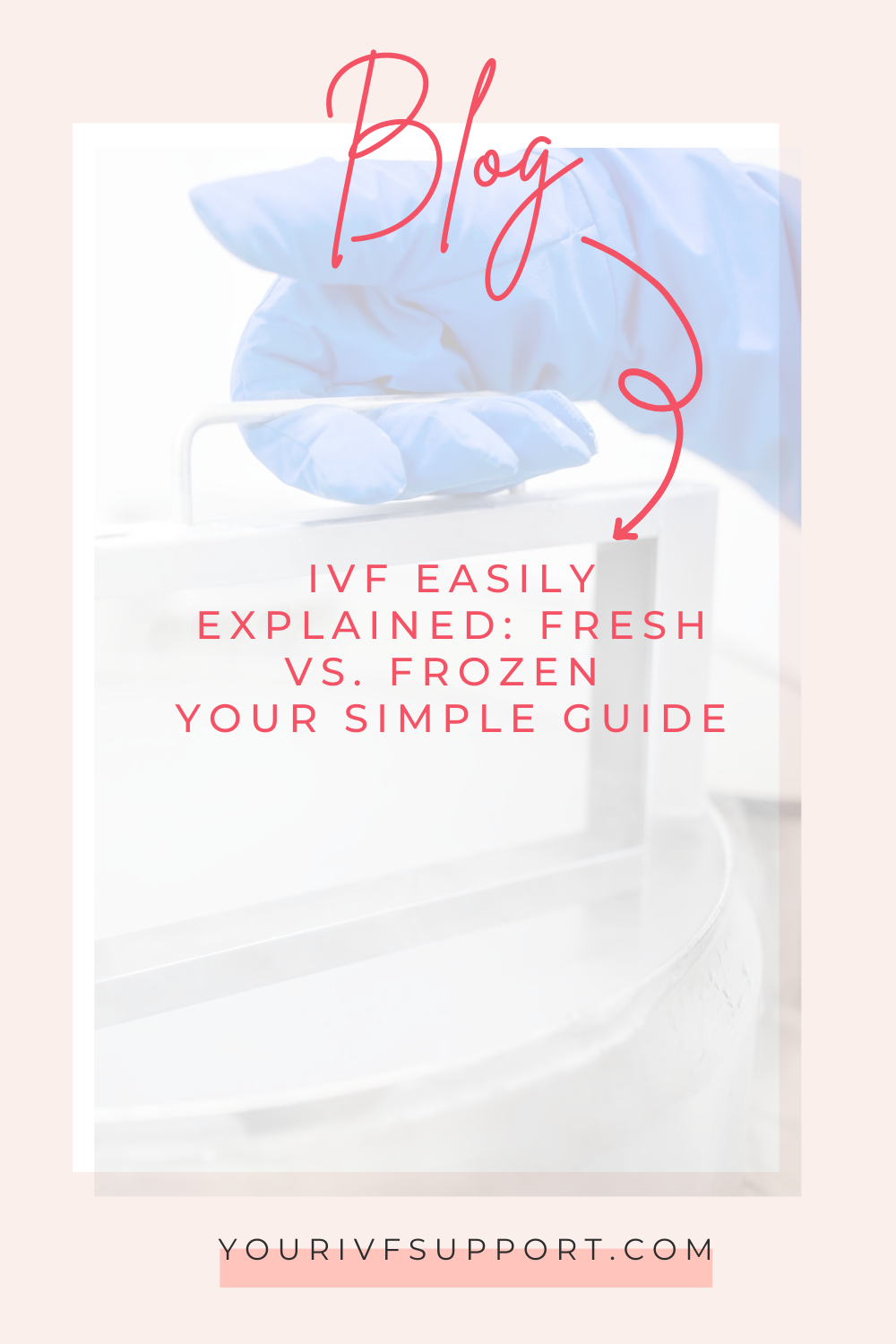 IVF leicht erklärt: Frisch oder eingefroren - dein einfacher Leitfaden