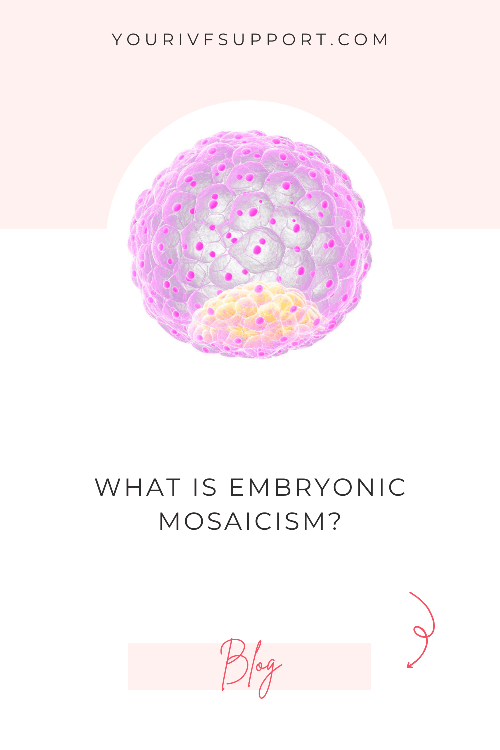 Embryonic Mosaicism