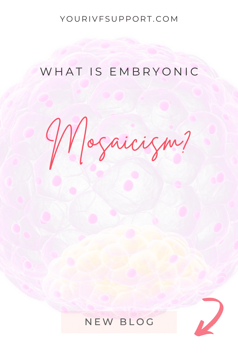 Embryonic Mosaicism