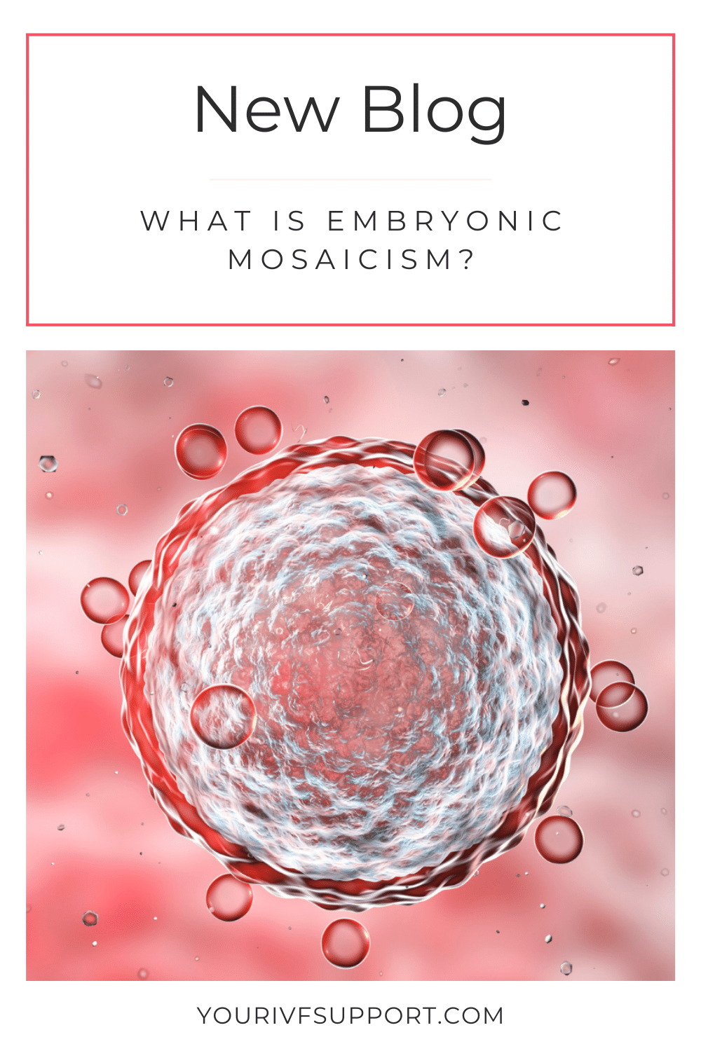 Embryonic Mosaicism