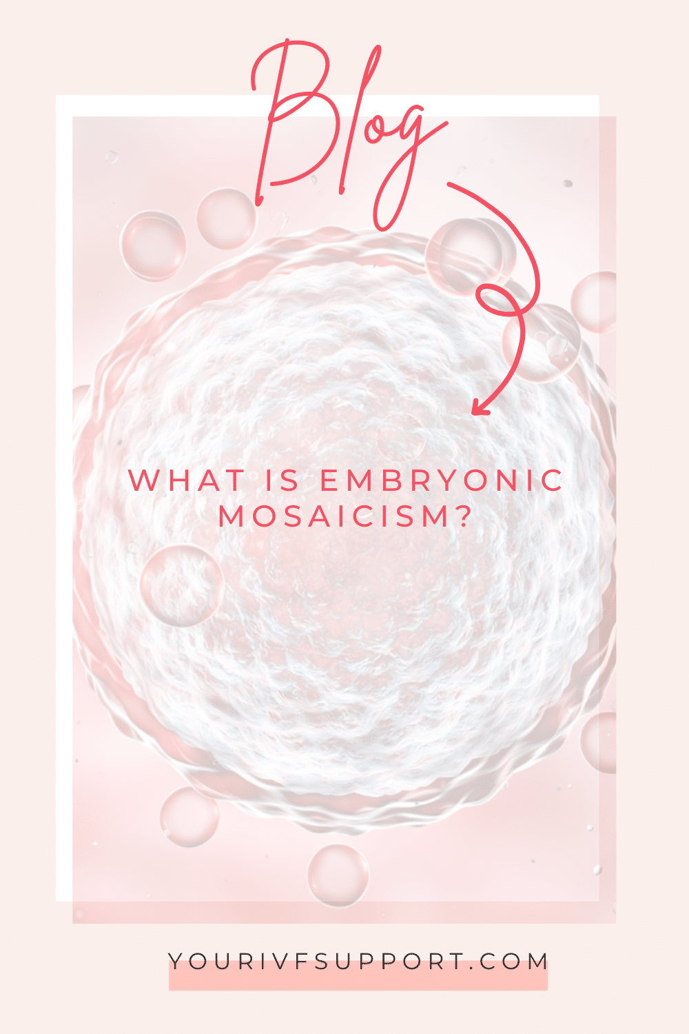 Embryonic Mosaicism