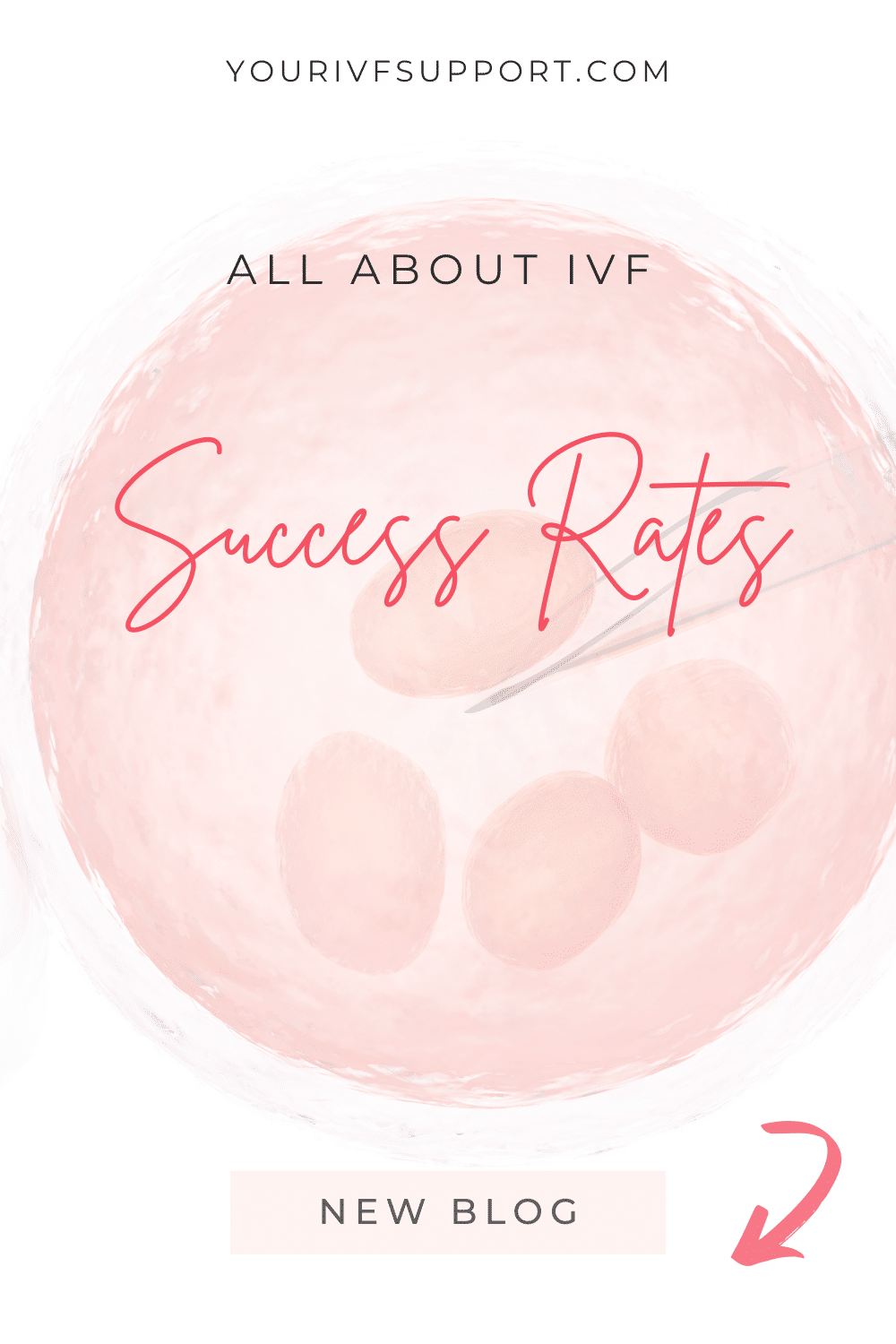 IVF Success Rates